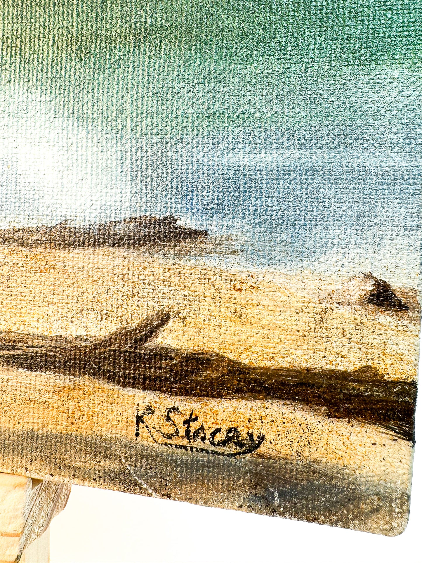 Snowy Mountains and Lake Original Painting Artist Signed